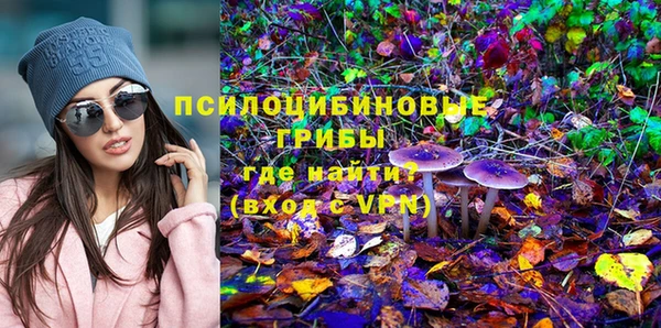 гашик Аркадак