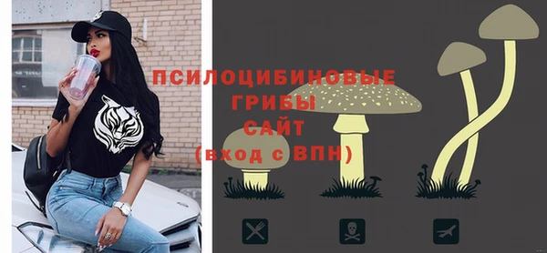 гашик Аркадак