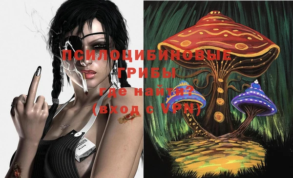гашик Аркадак